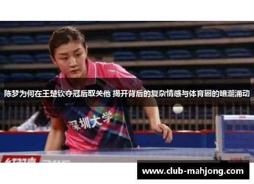 陈梦为何在王楚钦夺冠后取关他 揭开背后的复杂情感与体育圈的暗潮涌动 陈梦为何在王楚钦夺冠后取关他 揭开背后的复杂情感与体育圈的暗潮涌动